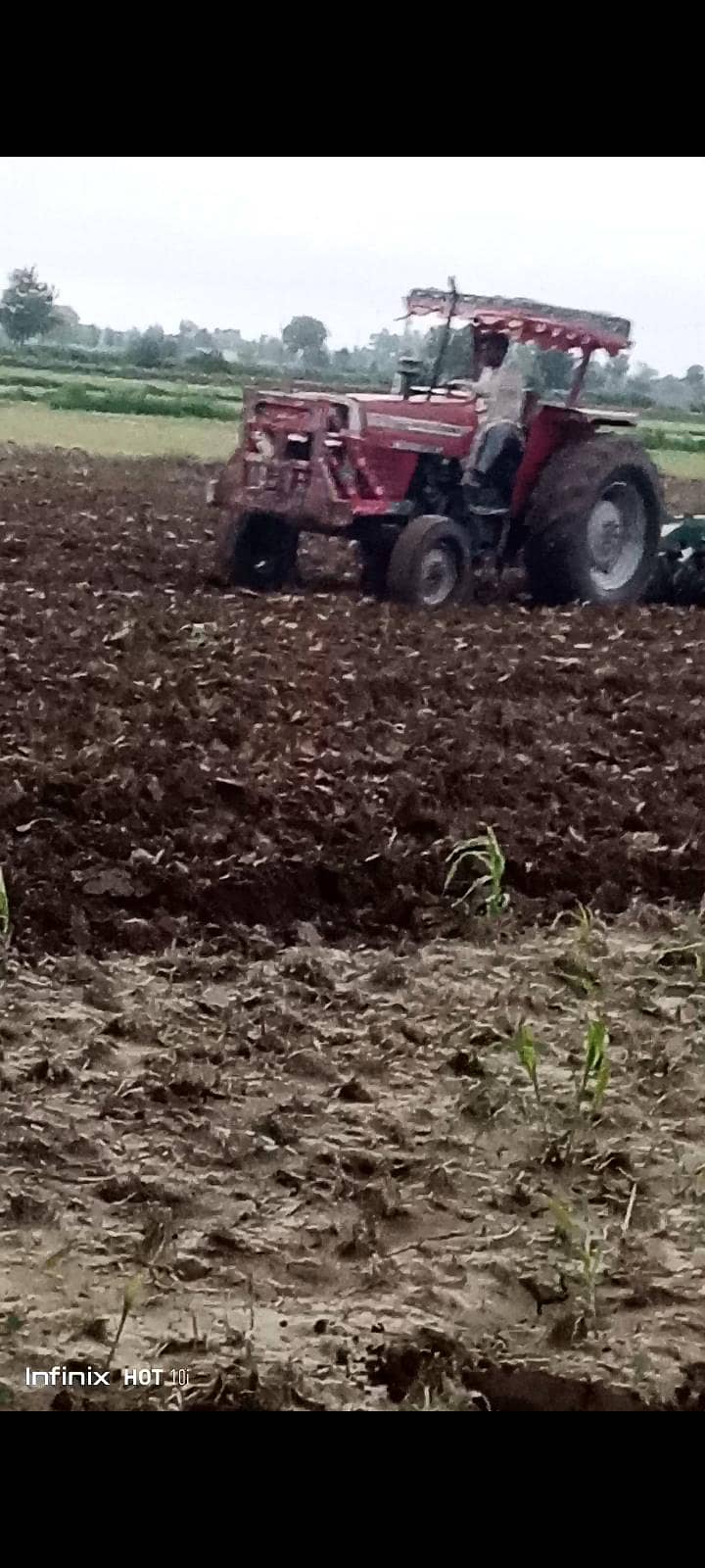 mf 375 0