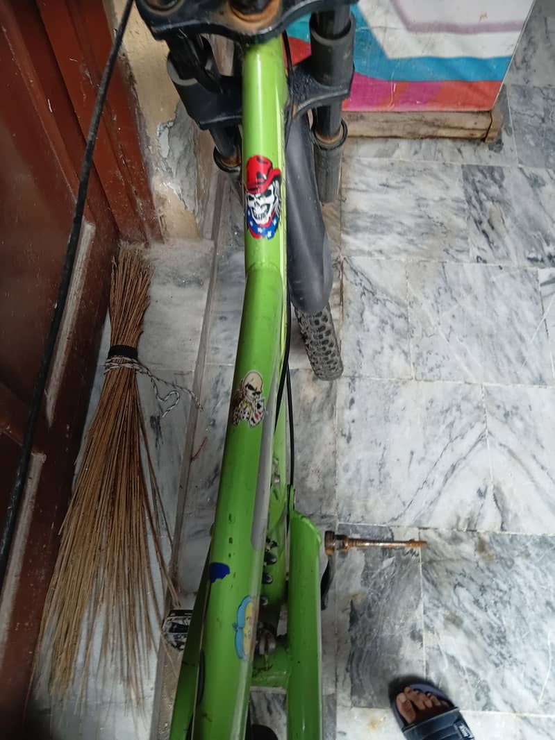 GREEN COLOUR CYCLE 2