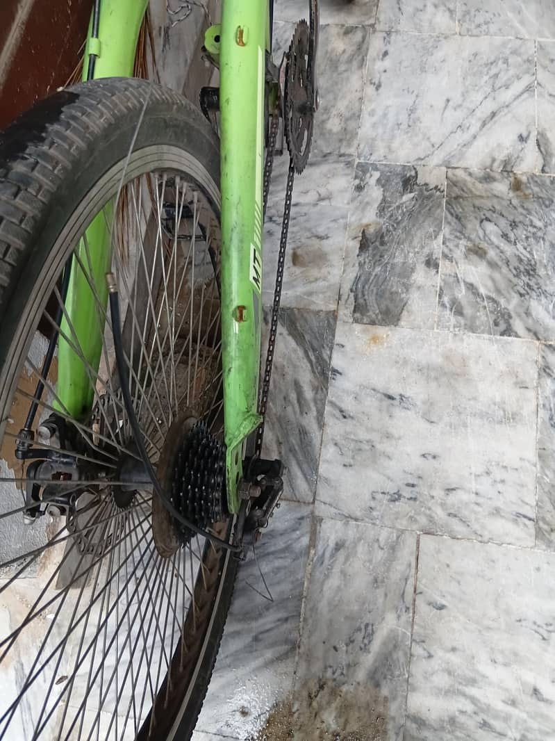 GREEN COLOUR CYCLE 4