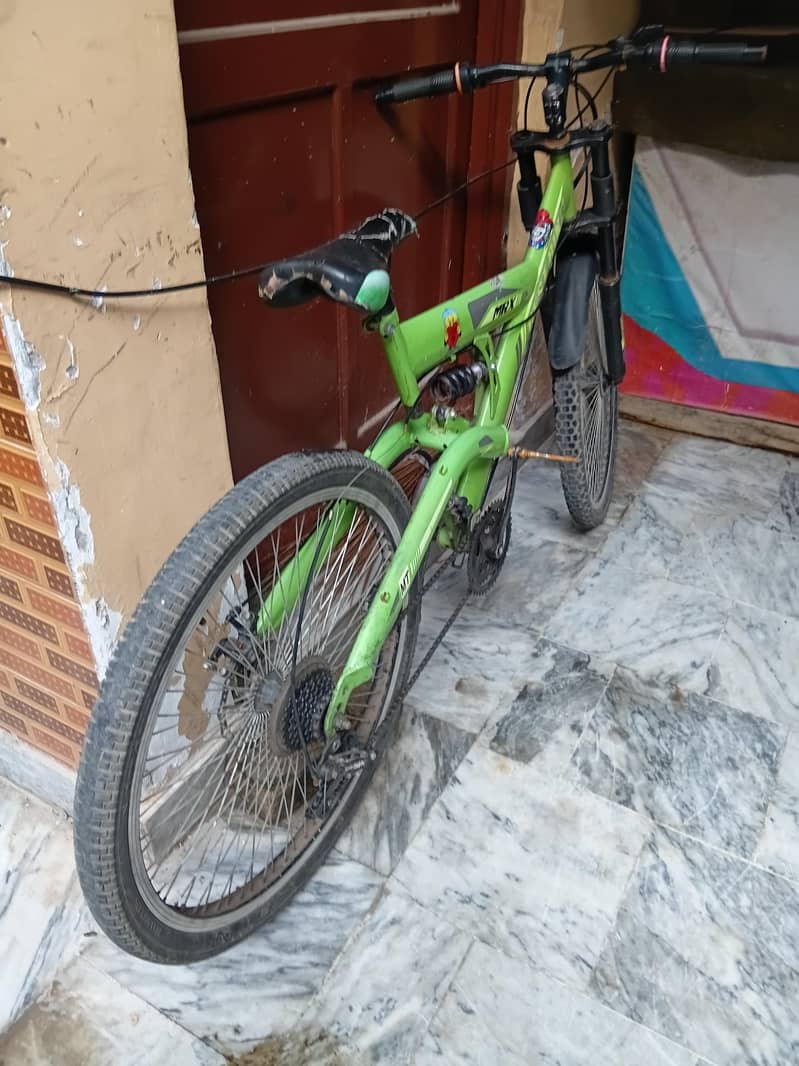 GREEN COLOUR CYCLE 6