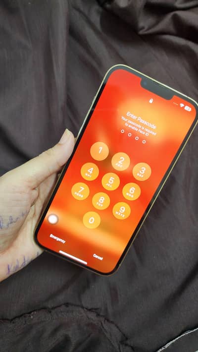 iPhone 13 Pro Max NonPta JV
