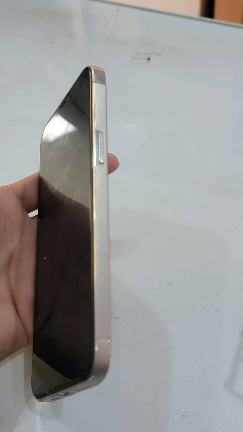 Apple iPhone 12 Pro Max 1