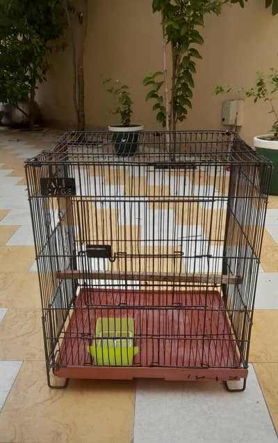 Ali Bird Cage