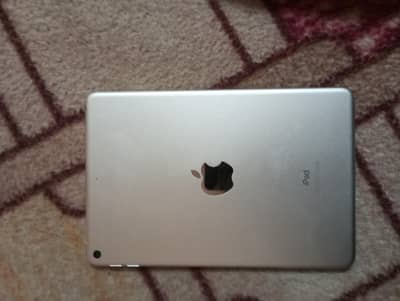 Ipad Mini 5