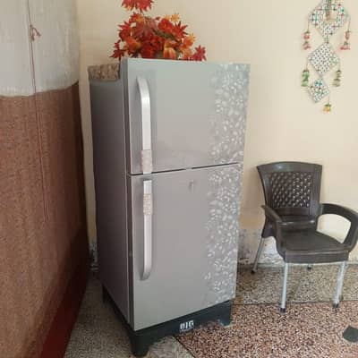 Haier Company Fridge