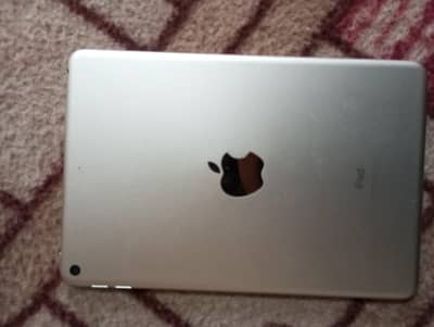 Ipad Mini 5