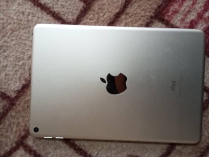 Ipad Mini 5 0