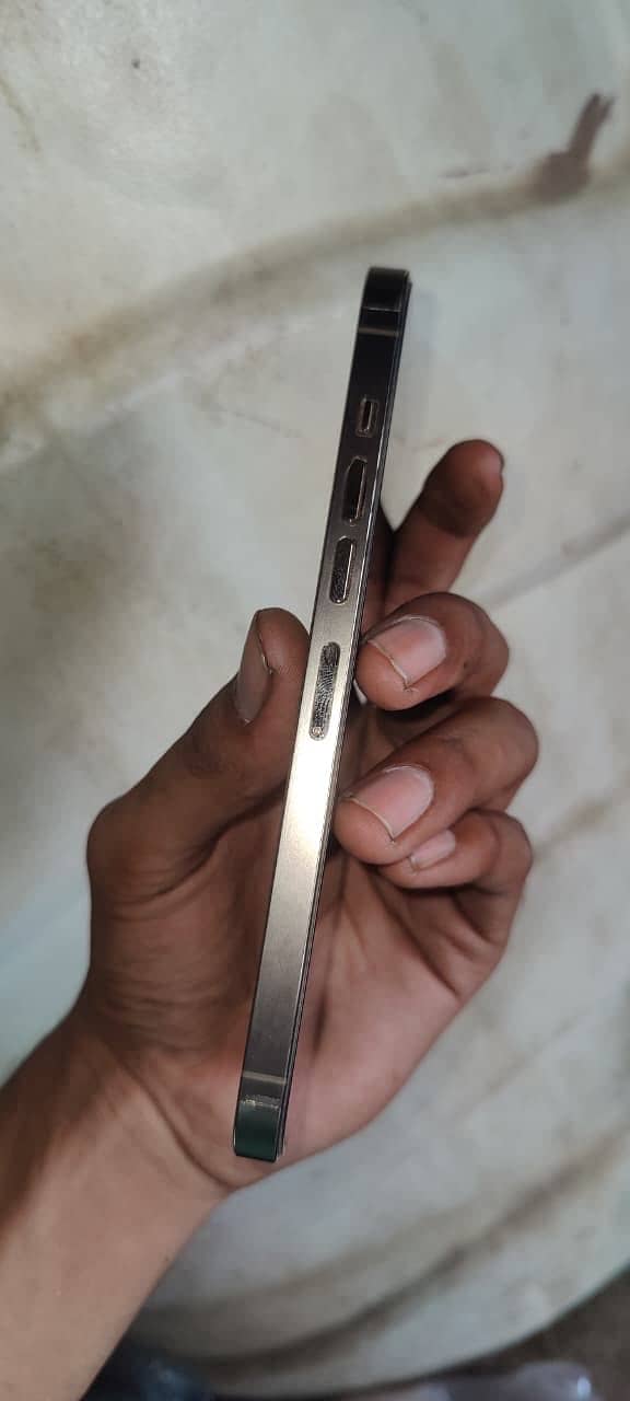 Apple iPhone 13 Pro Max 2