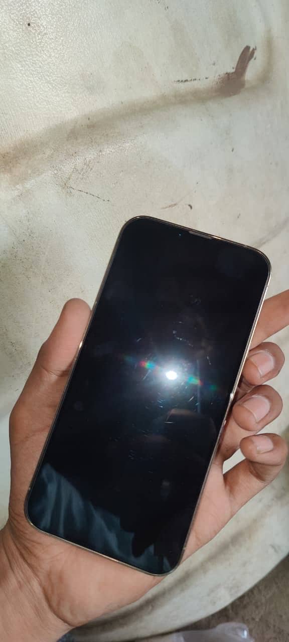 Apple iPhone 13 Pro Max 3