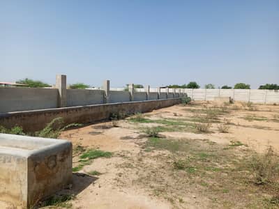 cattle farm available for rent and sale both purpose 2500 gaz