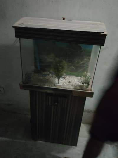 fish aquarium for sale