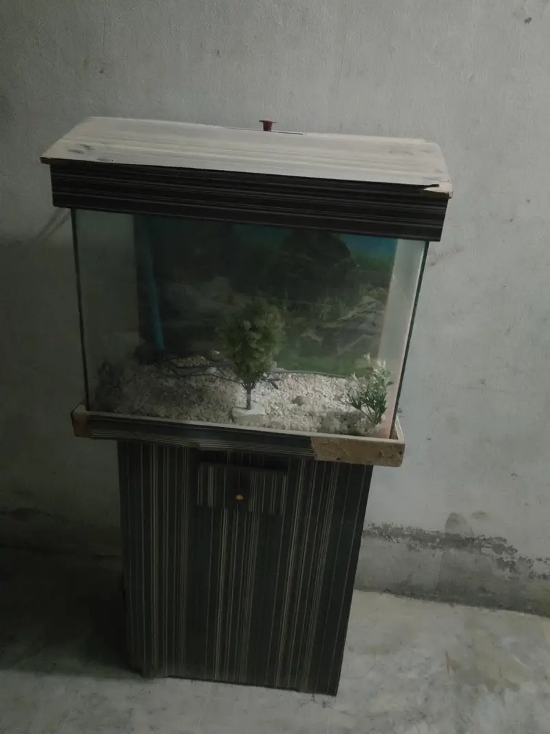 fish aquarium for sale — photo 2