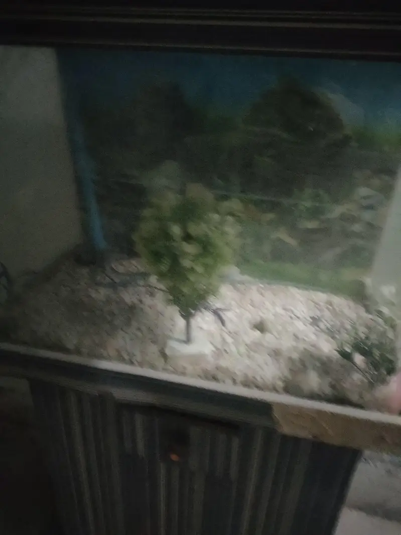 fish aquarium for sale — photo 3