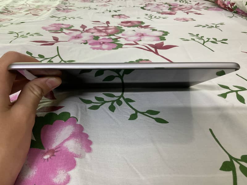 iPad Mini 4th Generation 5
