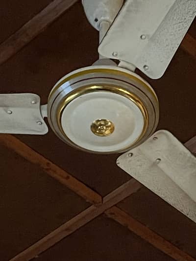 Ceiling fan 10/10