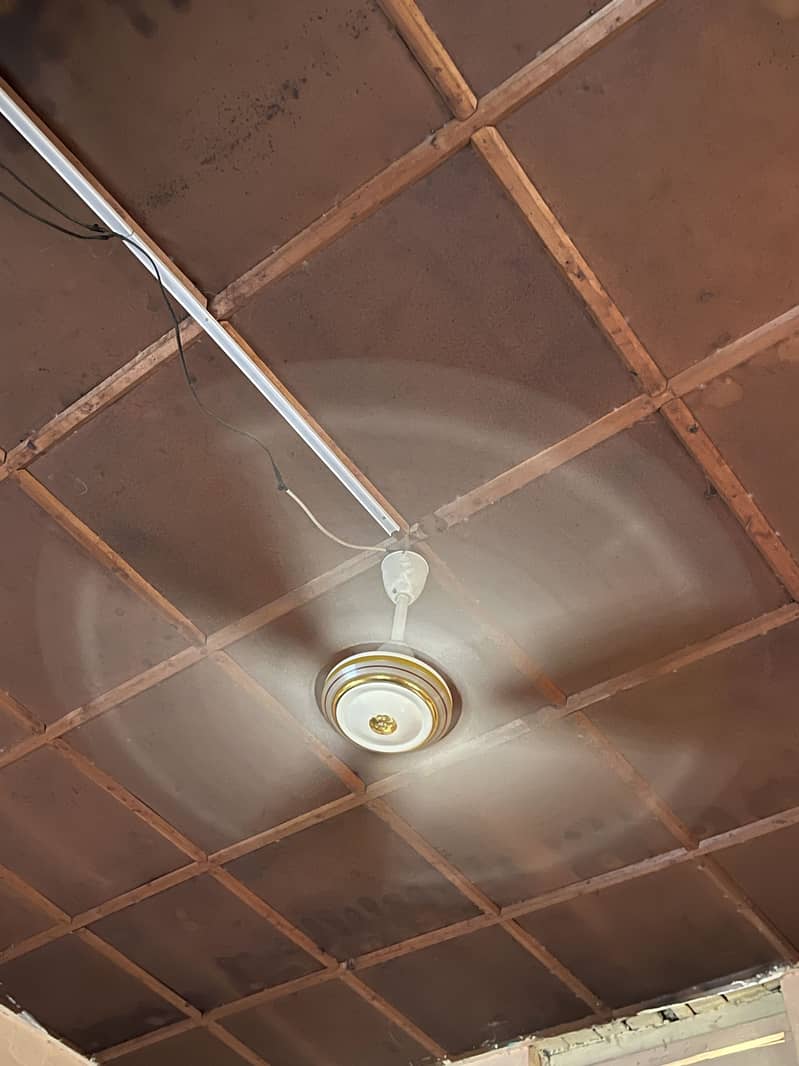 Ceiling fan 10/10 1