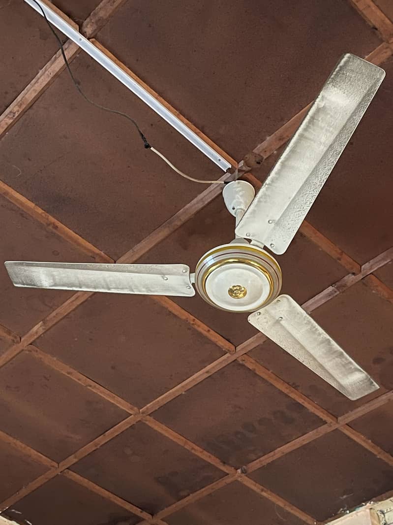 Ceiling fan 10/10 2