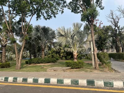 6 Kanal Plot In F Block Sukh Chayn