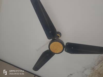 selling fan