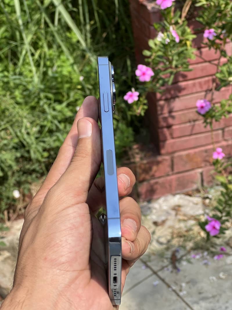 Apple iPhone 13 Pro Max 2