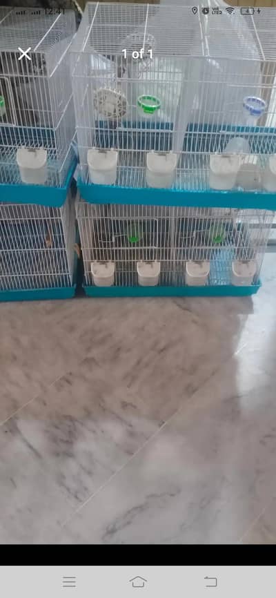 canary breeding cage