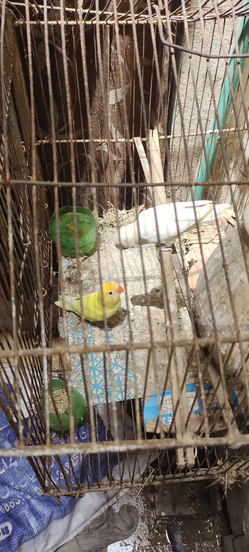 sell Karna hai — photo 2