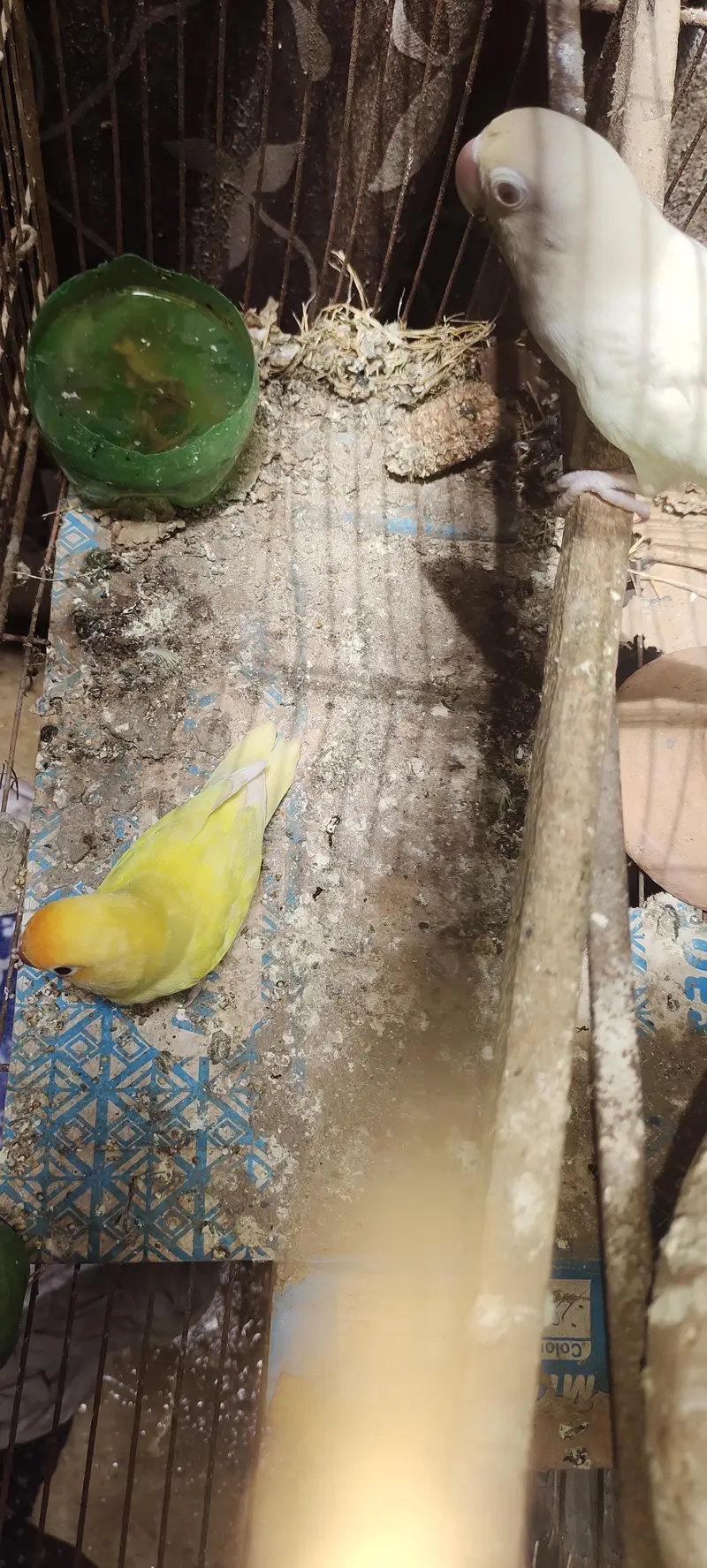 sell Karna hai — photo 5