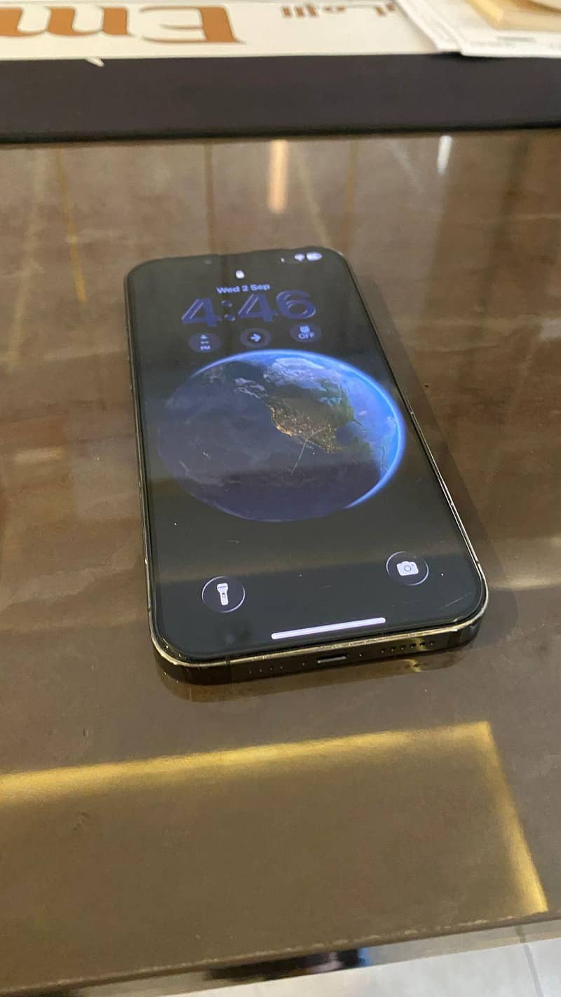 Apple iPhone 13 Pro Max 1