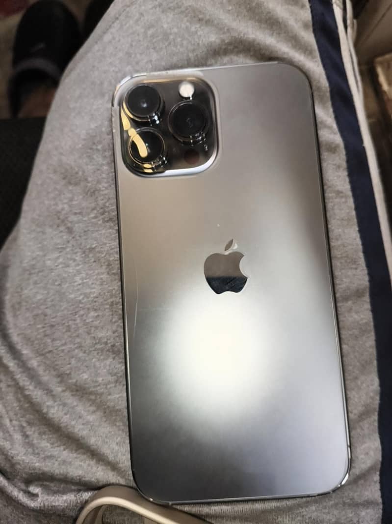 Apple iPhone 13 Pro Max 1
