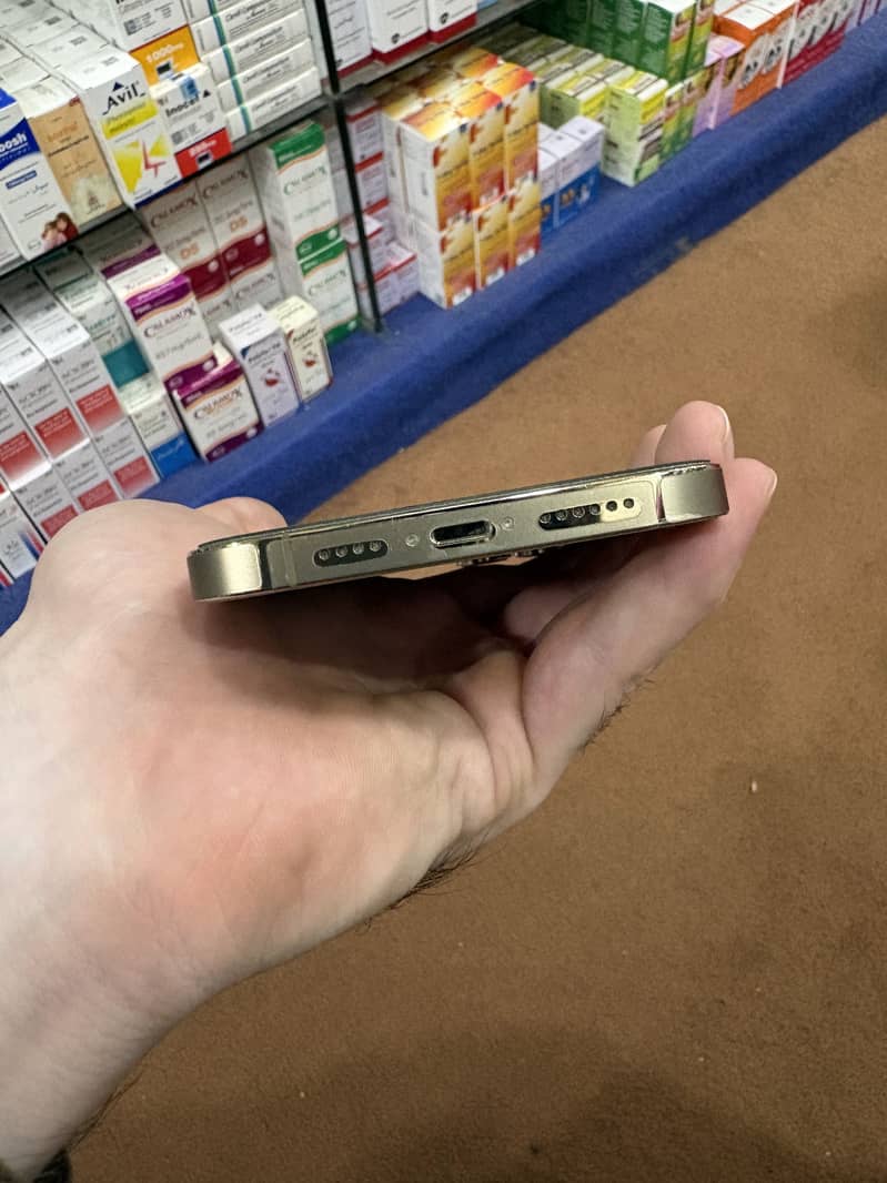 Apple iPhone 13 Pro Max 2