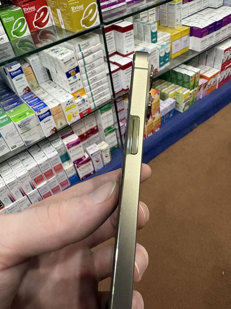 Apple iPhone 13 Pro Max 3