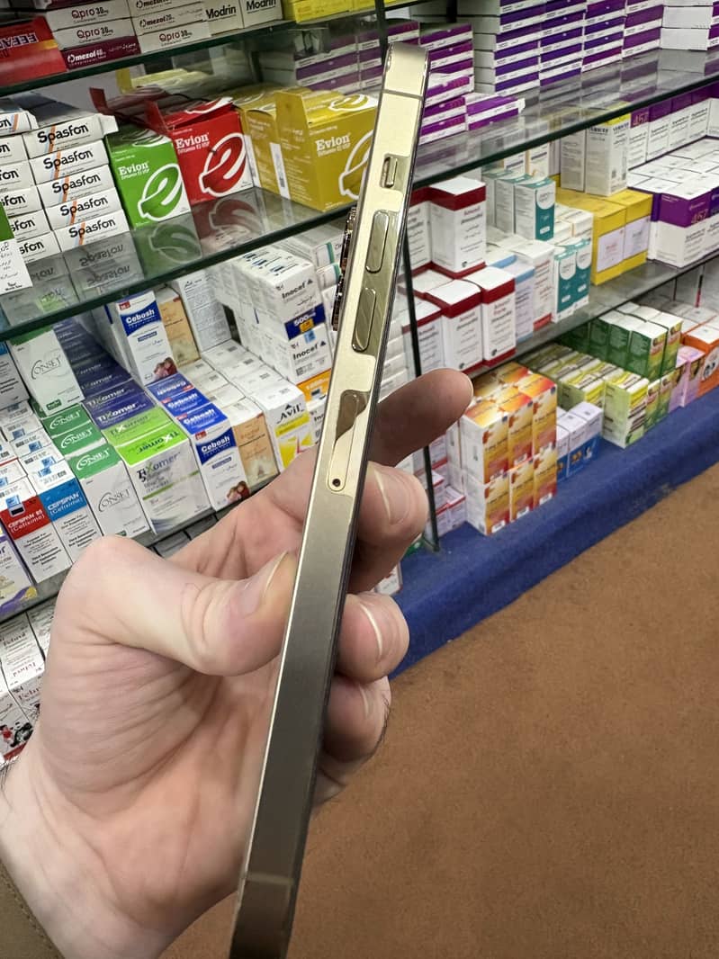 Apple iPhone 13 Pro Max 4
