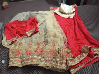Bridal Net Saree