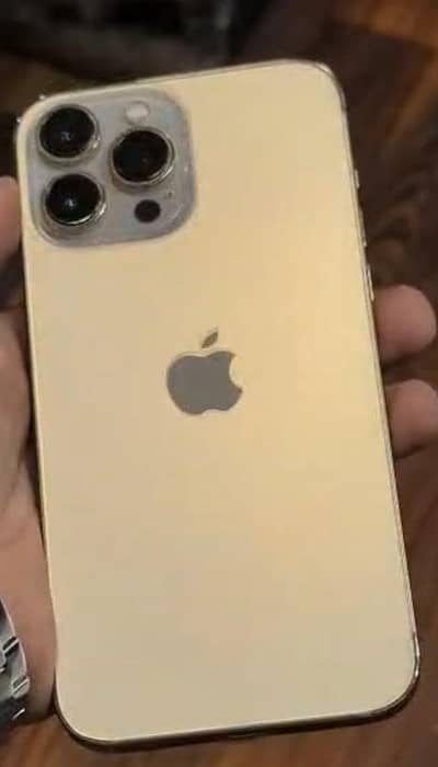 Apple iPhone 13 Pro Max