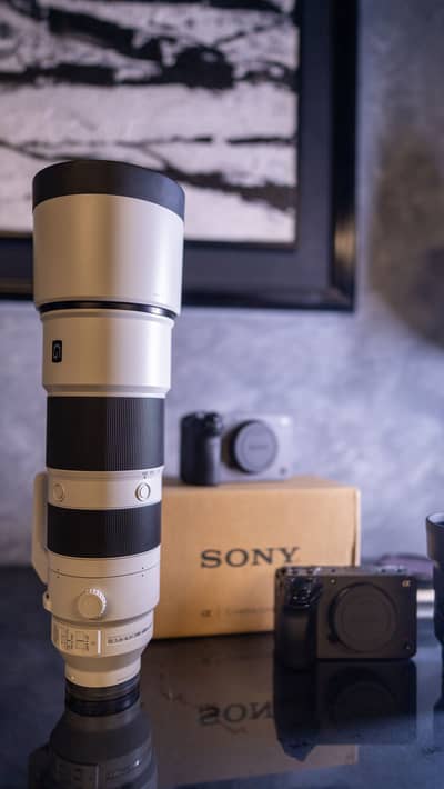 Sony 200-600G super zoom lens
