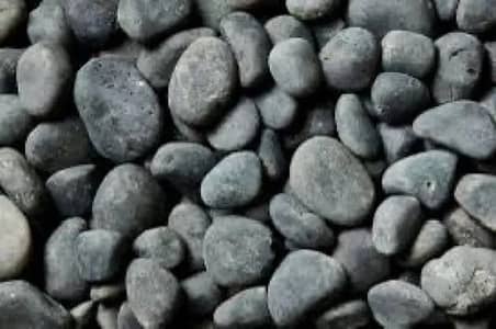 Garden Stones - Fancy pebbles - Garden Stones - White Pebble's