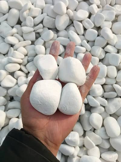 Garden Stones - Fancy pebbles - Garden Stones - White Pebble's