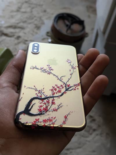 Apple iPhone XS dual Sim officially Pta Approved