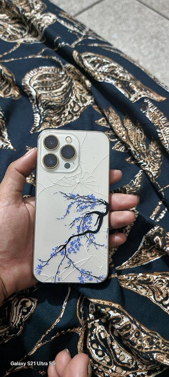 Apple iPhone 13 Pro 1