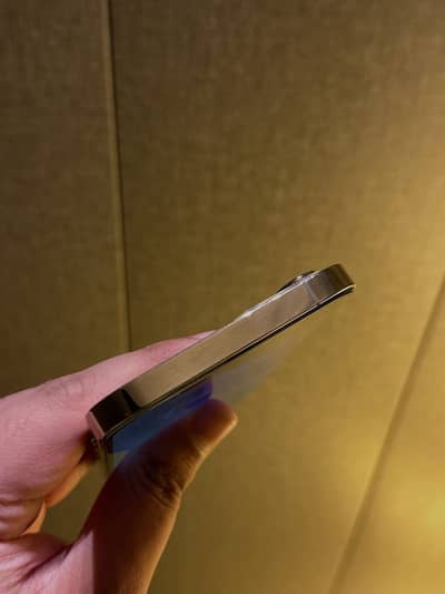 Apple iPhone 12 Pro Max 256 gb pta proved  panel chang