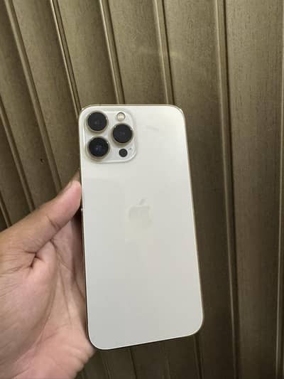 13 Pro Max 256gb Dua Pta
