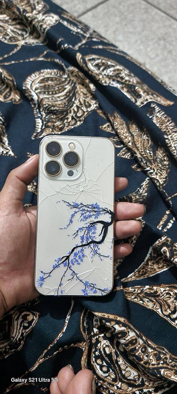 Apple iPhone 13 Pro 2