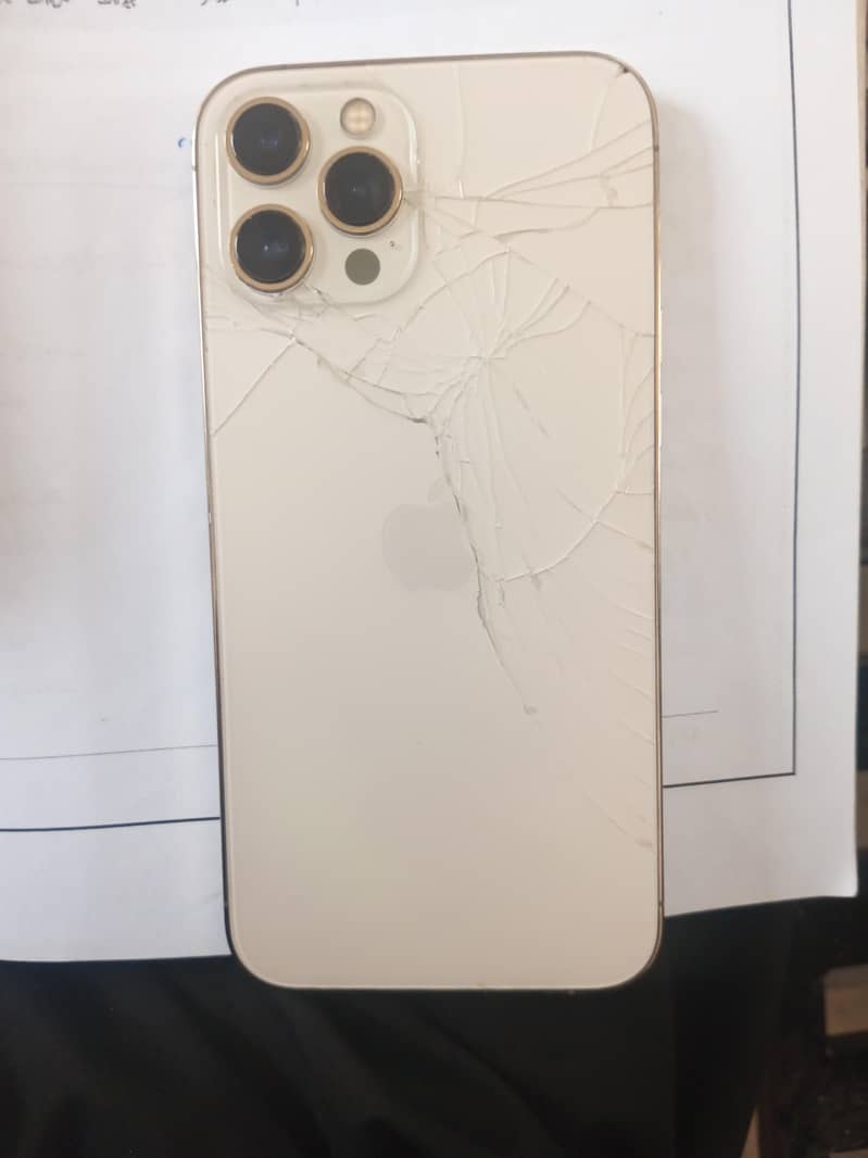 Apple iPhone 12 Pro Max 0