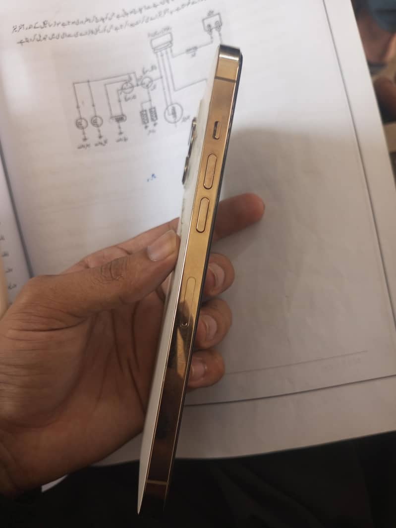 Apple iPhone 12 Pro Max 1