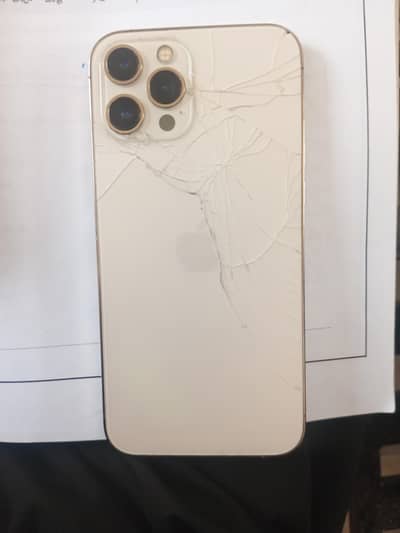 Apple iPhone 12 Pro Max
