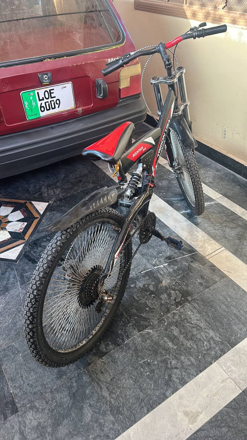 Trigon USA model cycle 1
