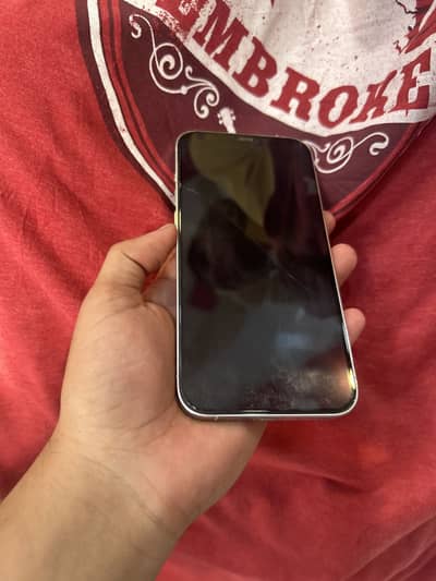 Apple iPhone 12 Pro Max