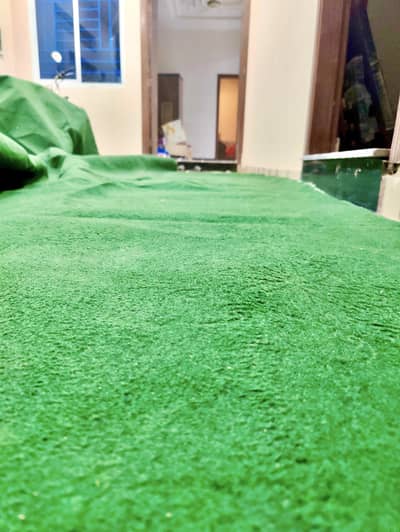 Green Wall-to-Wall Carpet (17.5 x 12.25 Ft) with 0.75" Soft Under Foam