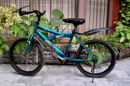 kids bicycle