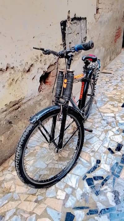 phoenix original cycle